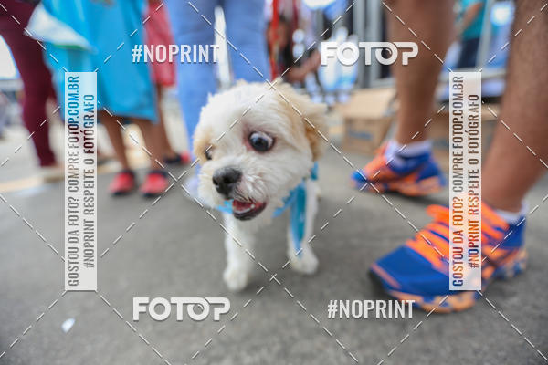 Buy your photos of the eventC�orrida Scooby Doo Internacional Shopping Guarulhos 2019 on Fotop