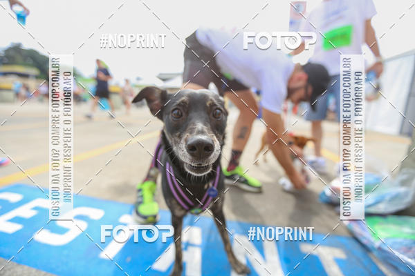 Buy your photos of the eventC�orrida Scooby Doo Internacional Shopping Guarulhos 2019 on Fotop