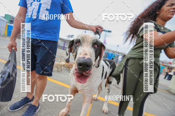 Buy your photos of the eventC�orrida Scooby Doo Internacional Shopping Guarulhos 2019 on Fotop