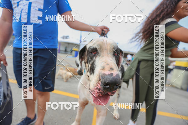 Buy your photos of the eventC�orrida Scooby Doo Internacional Shopping Guarulhos 2019 on Fotop