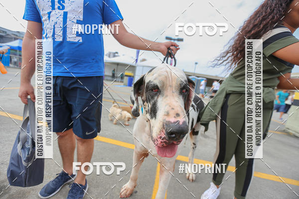 Buy your photos of the eventC�orrida Scooby Doo Internacional Shopping Guarulhos 2019 on Fotop