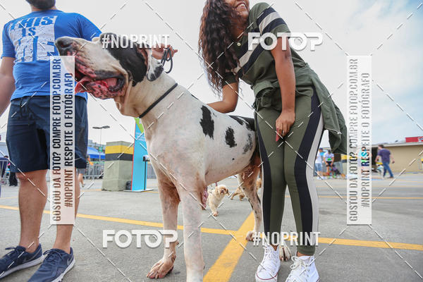 Buy your photos of the eventC�orrida Scooby Doo Internacional Shopping Guarulhos 2019 on Fotop