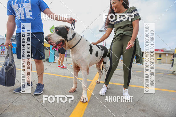 Buy your photos of the eventC�orrida Scooby Doo Internacional Shopping Guarulhos 2019 on Fotop