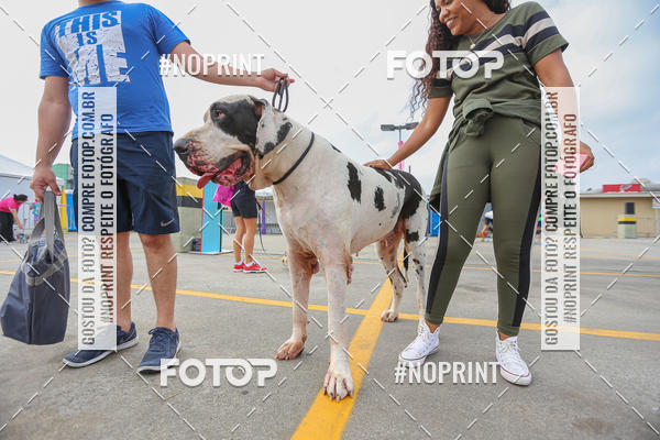 Buy your photos of the eventC�orrida Scooby Doo Internacional Shopping Guarulhos 2019 on Fotop