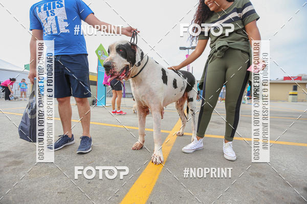 Buy your photos of the eventC�orrida Scooby Doo Internacional Shopping Guarulhos 2019 on Fotop