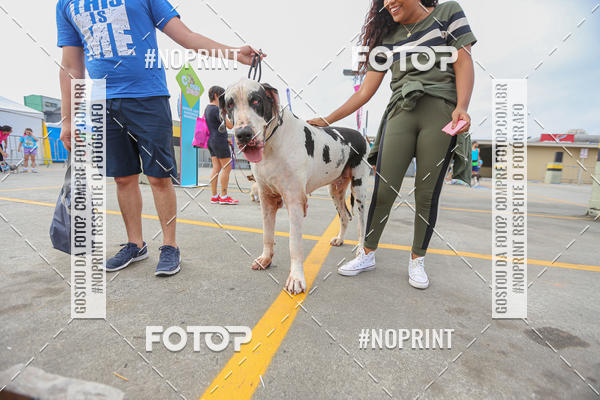 Buy your photos of the eventC�orrida Scooby Doo Internacional Shopping Guarulhos 2019 on Fotop