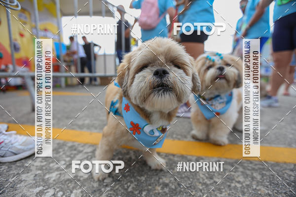 Buy your photos of the eventC�orrida Scooby Doo Internacional Shopping Guarulhos 2019 on Fotop