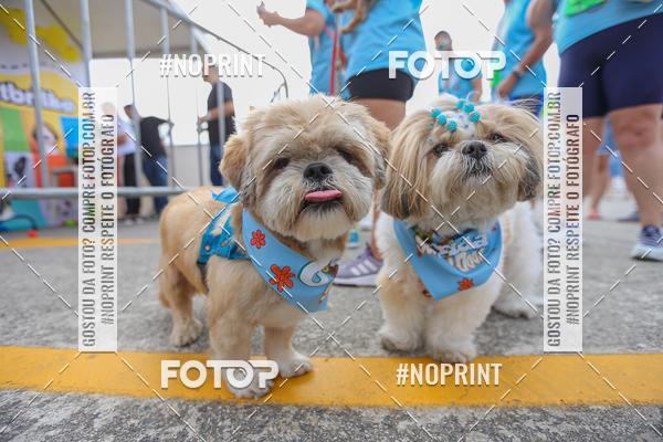 Buy your photos of the eventC�orrida Scooby Doo Internacional Shopping Guarulhos 2019 on Fotop