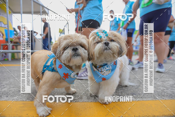 Buy your photos of the eventC�orrida Scooby Doo Internacional Shopping Guarulhos 2019 on Fotop