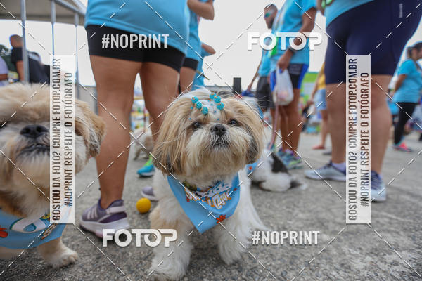 Buy your photos of the eventC�orrida Scooby Doo Internacional Shopping Guarulhos 2019 on Fotop