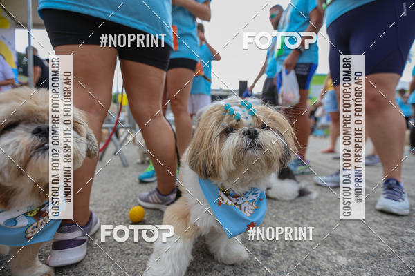 Buy your photos of the eventC�orrida Scooby Doo Internacional Shopping Guarulhos 2019 on Fotop