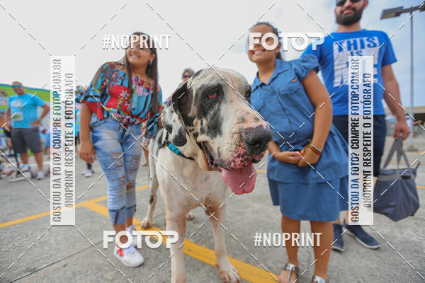 Buy your photos of the eventC�orrida Scooby Doo Internacional Shopping Guarulhos 2019 on Fotop