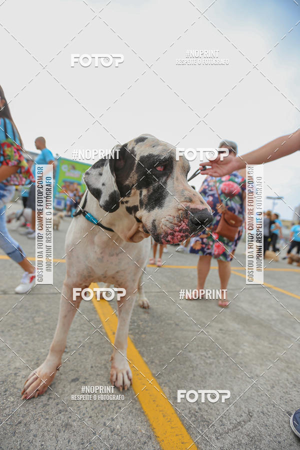 Buy your photos of the eventC�orrida Scooby Doo Internacional Shopping Guarulhos 2019 on Fotop