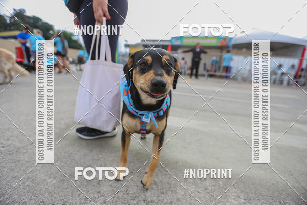 Buy your photos of the eventC�orrida Scooby Doo Internacional Shopping Guarulhos 2019 on Fotop