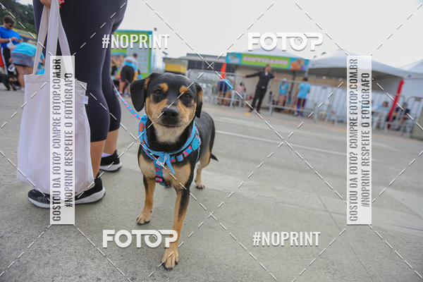 Buy your photos of the eventC�orrida Scooby Doo Internacional Shopping Guarulhos 2019 on Fotop