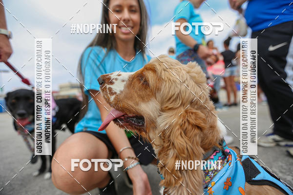 Buy your photos of the eventC�orrida Scooby Doo Internacional Shopping Guarulhos 2019 on Fotop