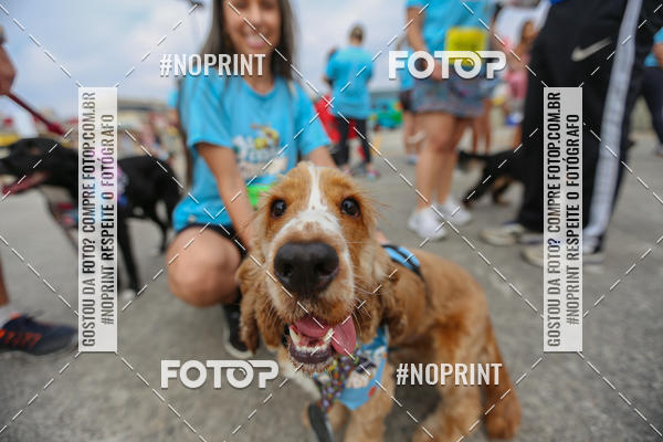 Buy your photos of the eventC�orrida Scooby Doo Internacional Shopping Guarulhos 2019 on Fotop