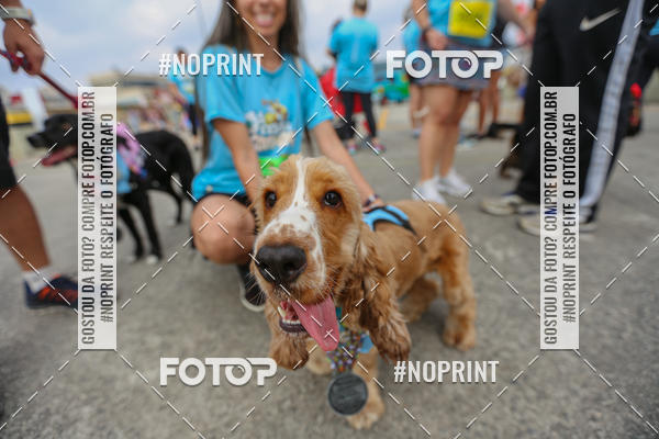 Buy your photos of the eventC�orrida Scooby Doo Internacional Shopping Guarulhos 2019 on Fotop