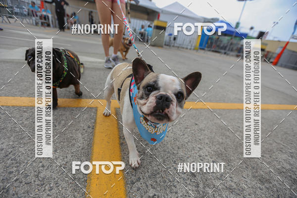 Buy your photos of the eventC�orrida Scooby Doo Internacional Shopping Guarulhos 2019 on Fotop