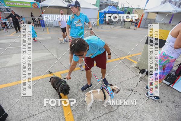 Buy your photos of the eventC�orrida Scooby Doo Internacional Shopping Guarulhos 2019 on Fotop