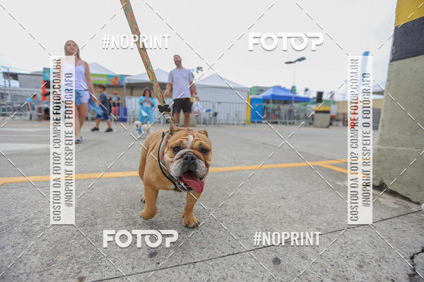 Buy your photos of the eventC�orrida Scooby Doo Internacional Shopping Guarulhos 2019 on Fotop