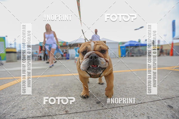 Buy your photos of the eventC�orrida Scooby Doo Internacional Shopping Guarulhos 2019 on Fotop