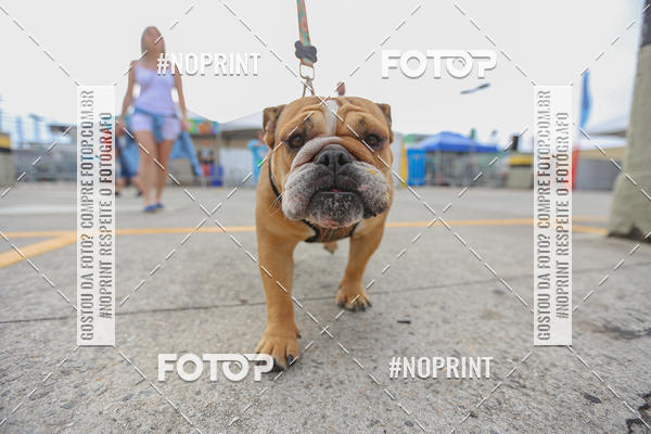 Buy your photos of the eventC�orrida Scooby Doo Internacional Shopping Guarulhos 2019 on Fotop