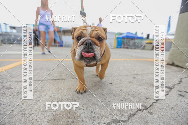 Buy your photos of the eventC�orrida Scooby Doo Internacional Shopping Guarulhos 2019 on Fotop