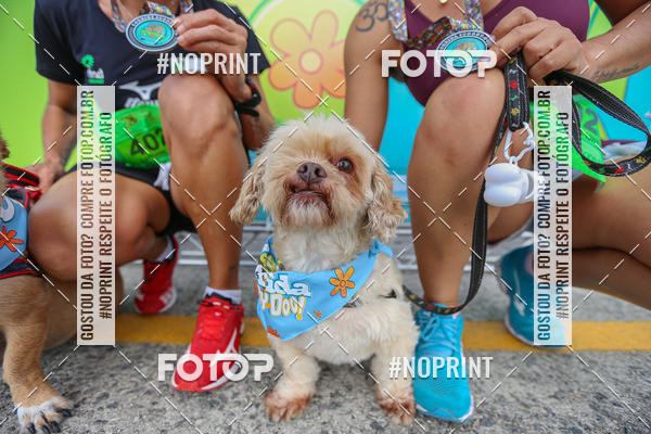Buy your photos of the eventC�orrida Scooby Doo Internacional Shopping Guarulhos 2019 on Fotop