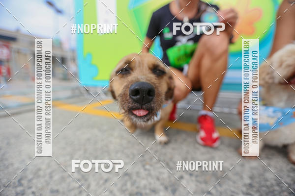 Buy your photos of the eventC�orrida Scooby Doo Internacional Shopping Guarulhos 2019 on Fotop