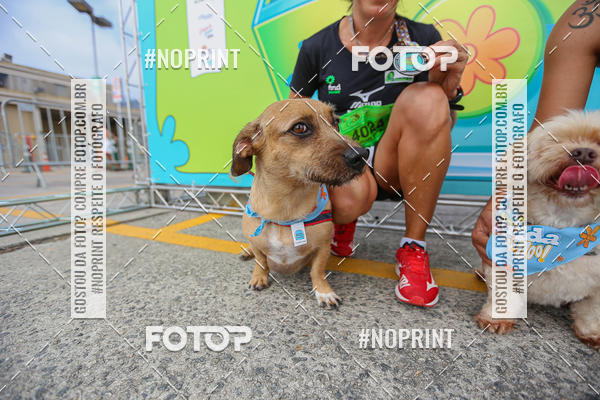 Buy your photos of the eventC�orrida Scooby Doo Internacional Shopping Guarulhos 2019 on Fotop