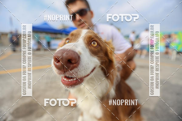 Buy your photos of the eventC�orrida Scooby Doo Internacional Shopping Guarulhos 2019 on Fotop