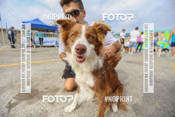 Buy your photos of the eventC�orrida Scooby Doo Internacional Shopping Guarulhos 2019 on Fotop