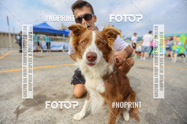 Buy your photos of the eventC�orrida Scooby Doo Internacional Shopping Guarulhos 2019 on Fotop