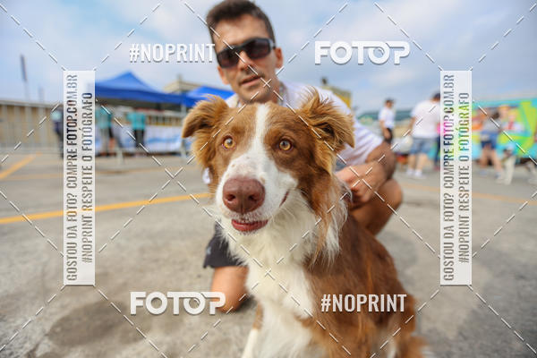 Buy your photos of the eventC�orrida Scooby Doo Internacional Shopping Guarulhos 2019 on Fotop