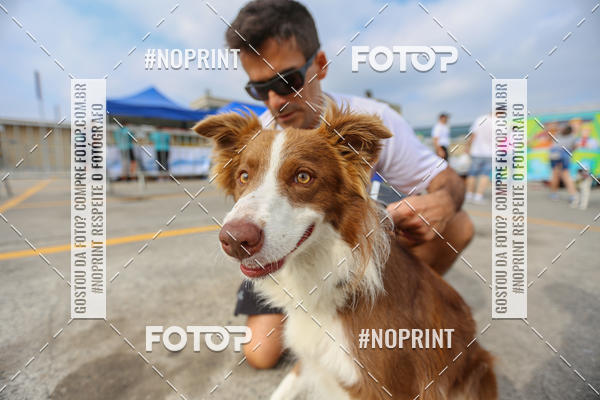Buy your photos of the eventC�orrida Scooby Doo Internacional Shopping Guarulhos 2019 on Fotop