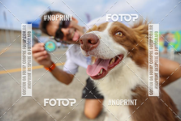 Buy your photos of the eventC�orrida Scooby Doo Internacional Shopping Guarulhos 2019 on Fotop