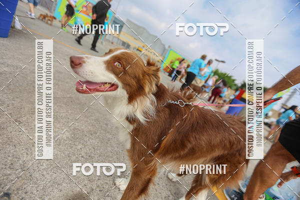 Buy your photos of the eventC�orrida Scooby Doo Internacional Shopping Guarulhos 2019 on Fotop