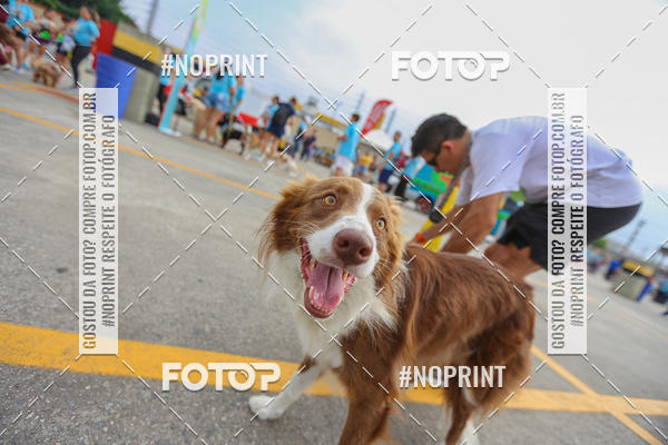 Buy your photos of the eventC�orrida Scooby Doo Internacional Shopping Guarulhos 2019 on Fotop