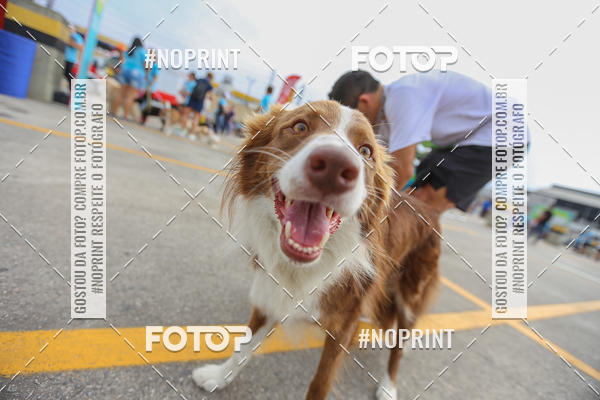 Buy your photos of the eventC�orrida Scooby Doo Internacional Shopping Guarulhos 2019 on Fotop