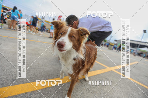 Buy your photos of the eventC�orrida Scooby Doo Internacional Shopping Guarulhos 2019 on Fotop