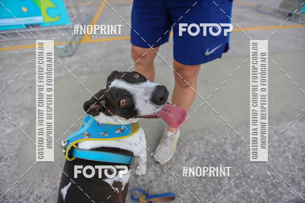 Buy your photos of the eventC�orrida Scooby Doo Internacional Shopping Guarulhos 2019 on Fotop