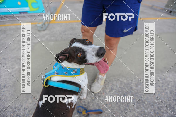 Buy your photos of the eventC�orrida Scooby Doo Internacional Shopping Guarulhos 2019 on Fotop