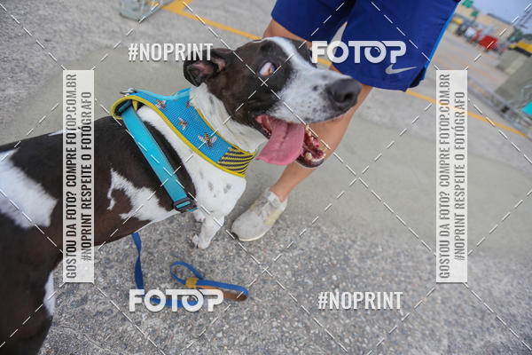 Buy your photos of the eventC�orrida Scooby Doo Internacional Shopping Guarulhos 2019 on Fotop