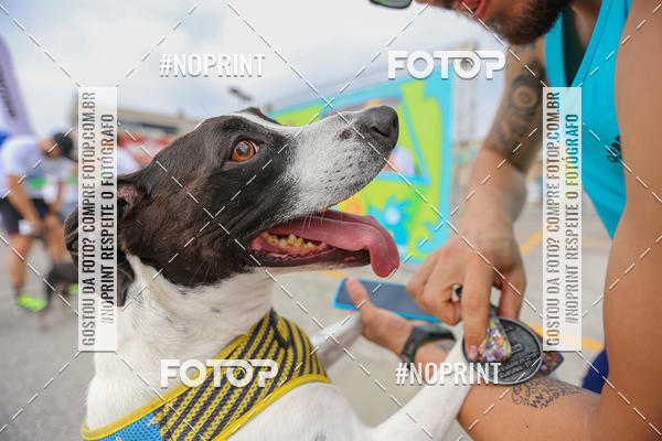 Buy your photos of the eventC�orrida Scooby Doo Internacional Shopping Guarulhos 2019 on Fotop