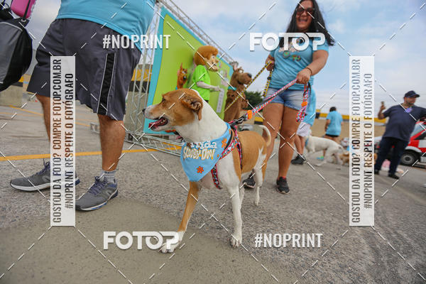 Buy your photos of the eventC�orrida Scooby Doo Internacional Shopping Guarulhos 2019 on Fotop