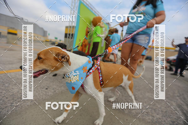 Buy your photos of the eventC�orrida Scooby Doo Internacional Shopping Guarulhos 2019 on Fotop