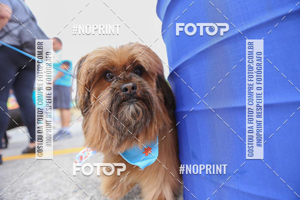 Buy your photos of the eventC�orrida Scooby Doo Internacional Shopping Guarulhos 2019 on Fotop