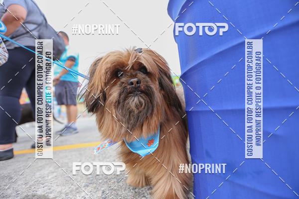 Buy your photos of the eventC�orrida Scooby Doo Internacional Shopping Guarulhos 2019 on Fotop