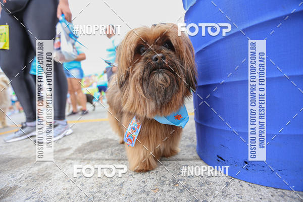 Buy your photos of the eventC�orrida Scooby Doo Internacional Shopping Guarulhos 2019 on Fotop